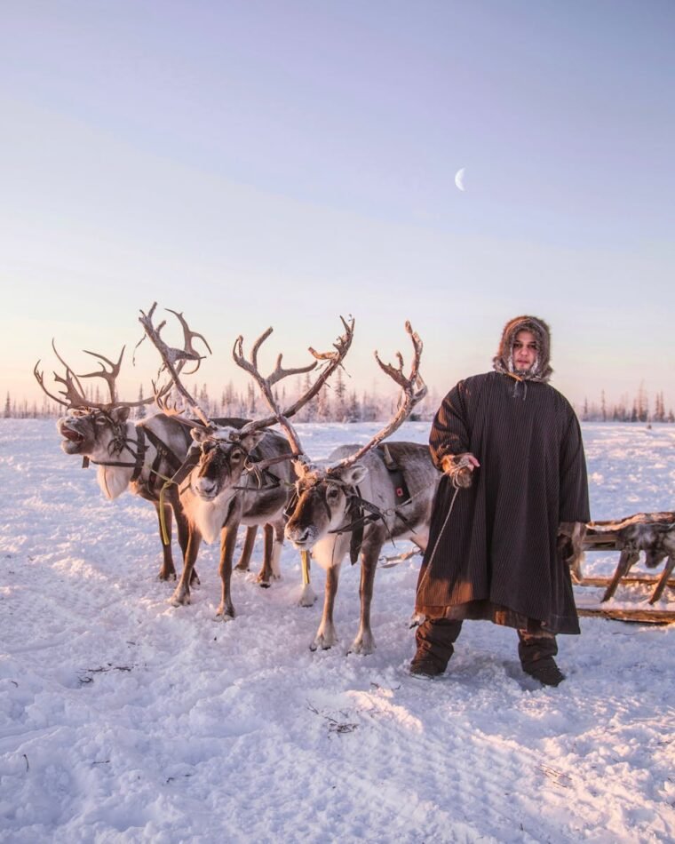 Man with Reindeer Sleigh in Snowy Yamal, Siberia, Russia