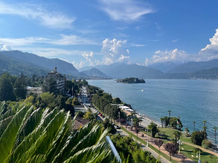 Green Trees Near Body of Water