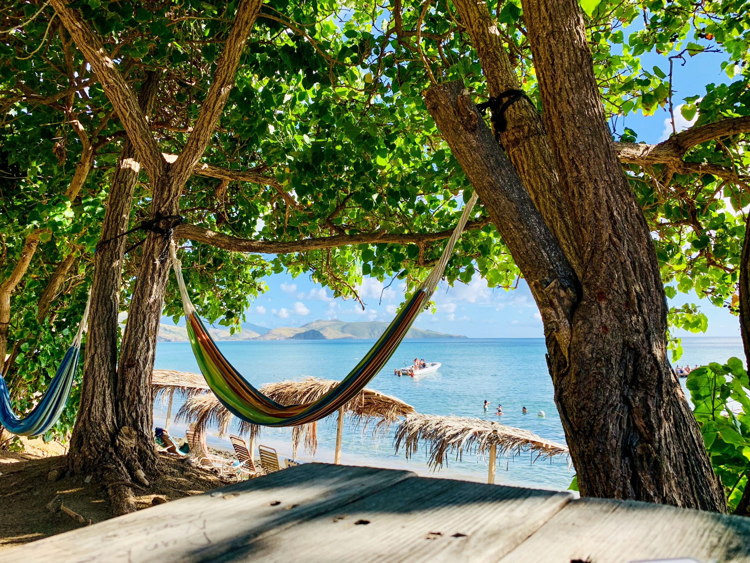 a hammock hanging between two trees on a beach