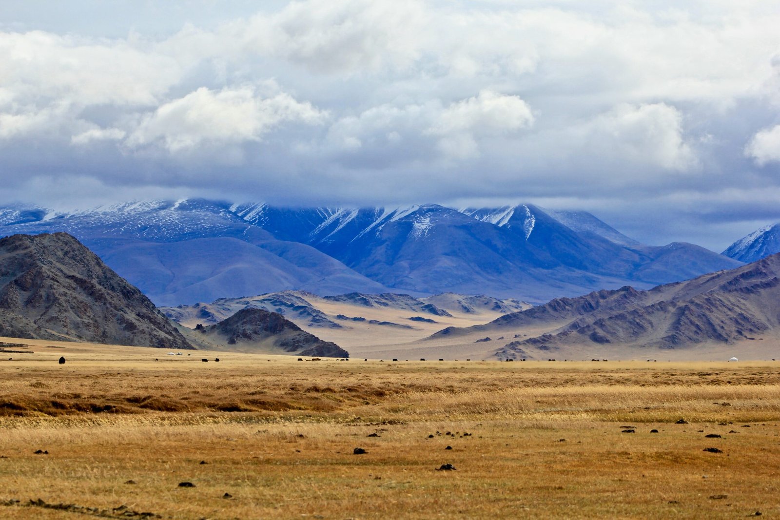 brown grass field near snow covered mountains during daytime