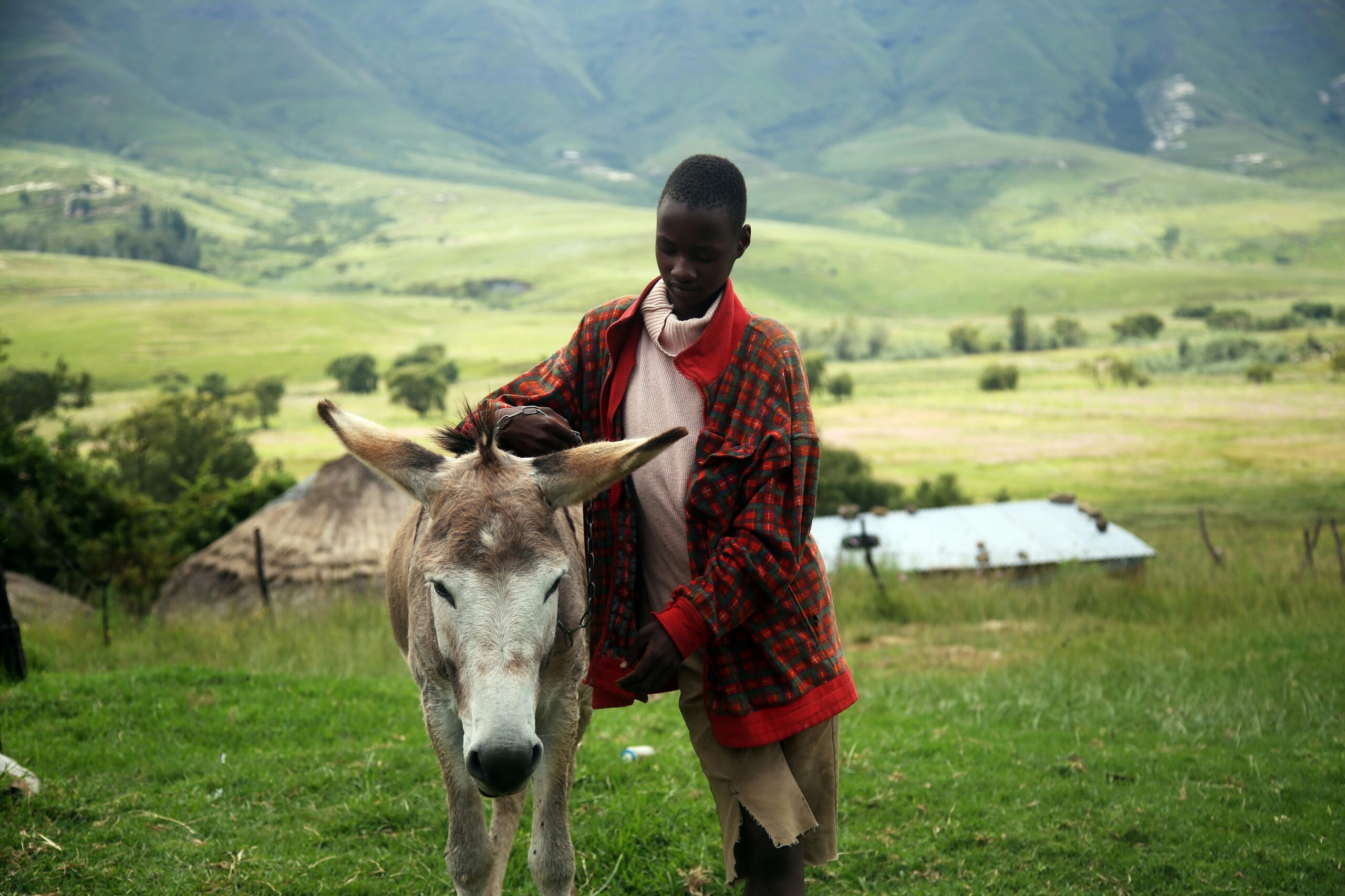 man holding beige horse