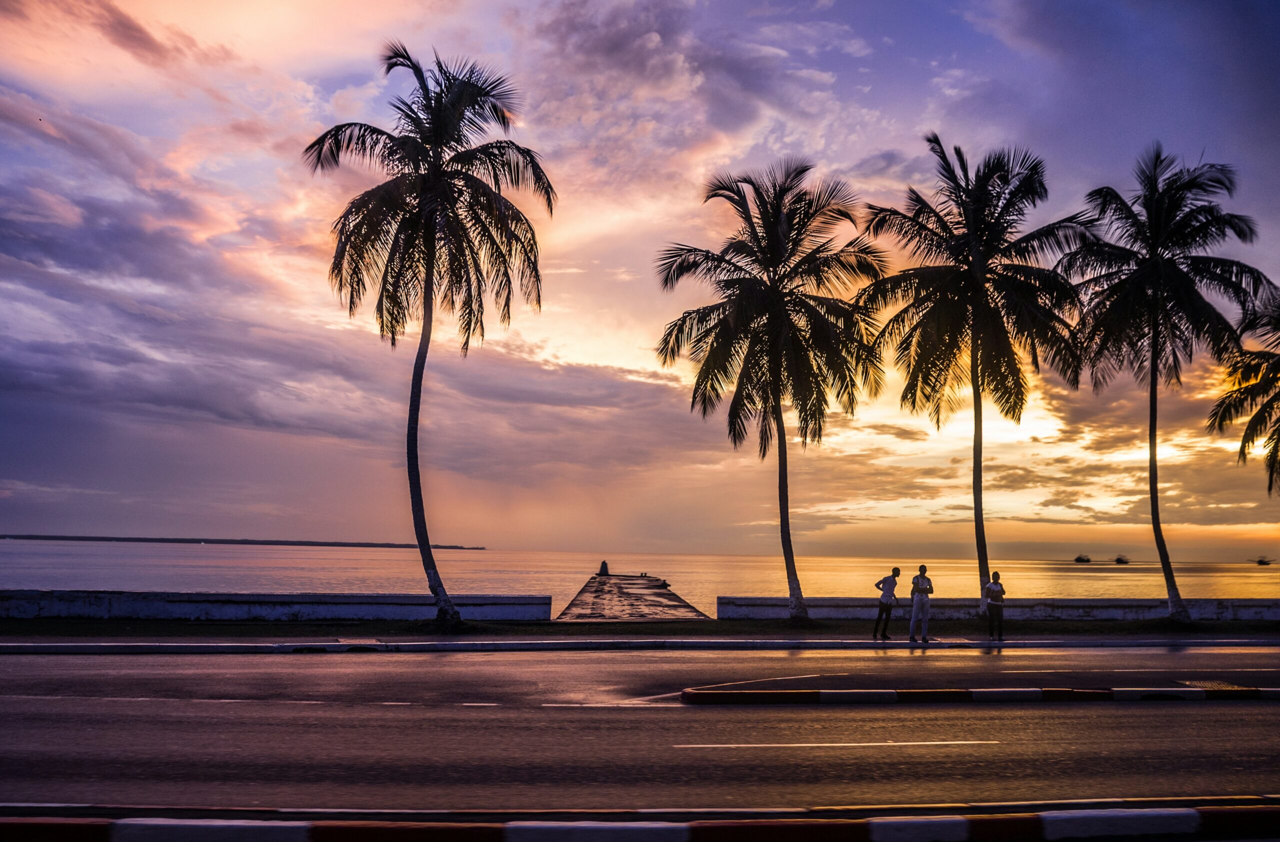 silhouette of palm tree near body of water during sunset