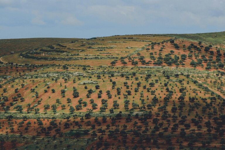 Scenic landscape of terraced farmland in Idlib Governorate, Syria.