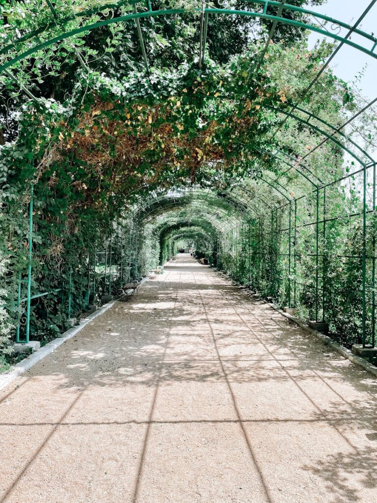 A peaceful garden pathway covered with lush greenery in Dushanbe, Tajikistan.