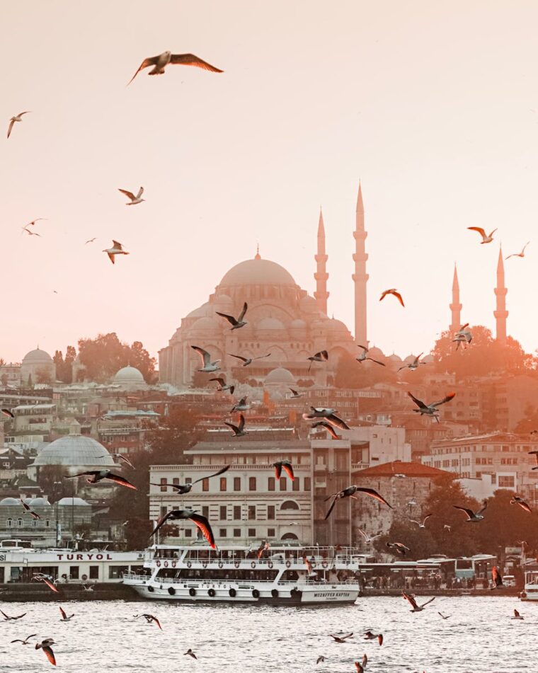 Istanbul skyline at sunset with birds soaring above, highlighting iconic architecture.